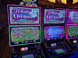 betting slot App betting slot App